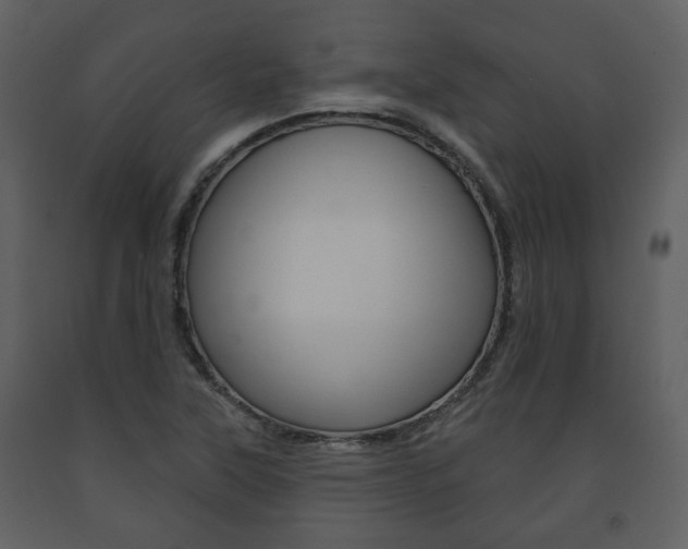 X0000091701315200708240924