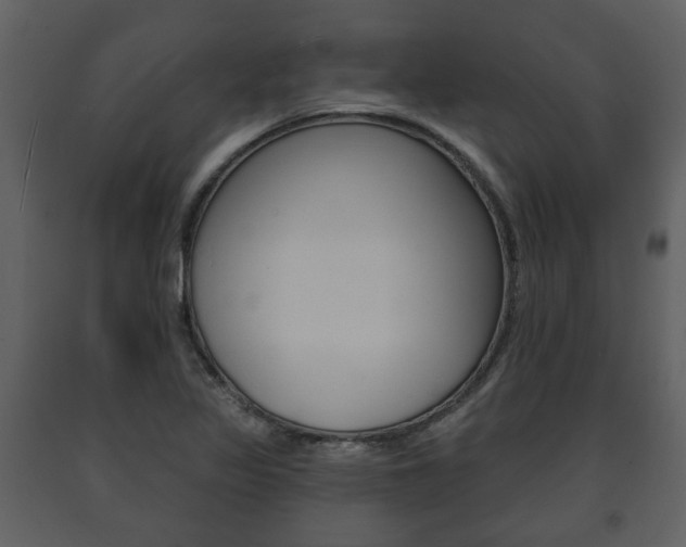 X0000091701317200708240924
