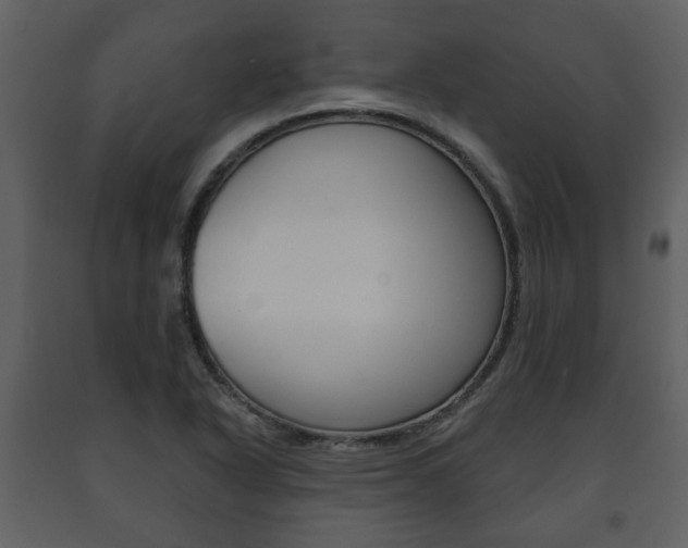 X0000091701318200708240924
