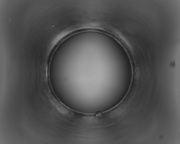 X0000091701320200708240924