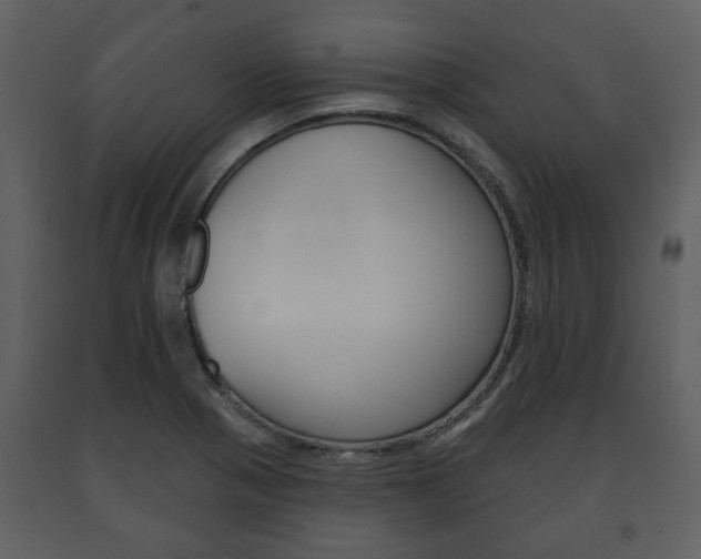X0000091701321200708240924
