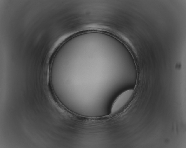 X0000091701323200708240924