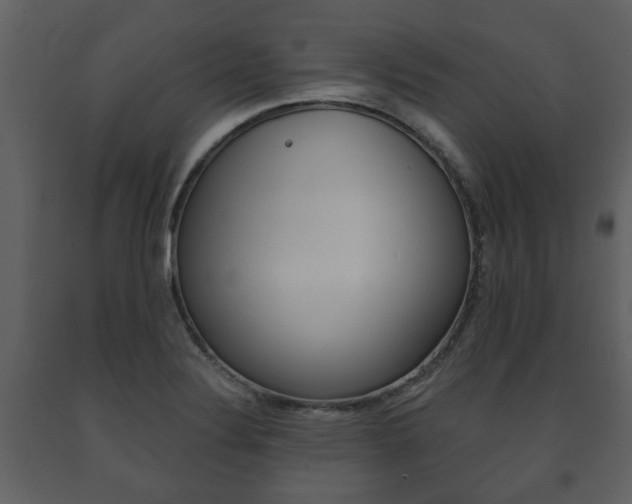 X0000091701324200708240924