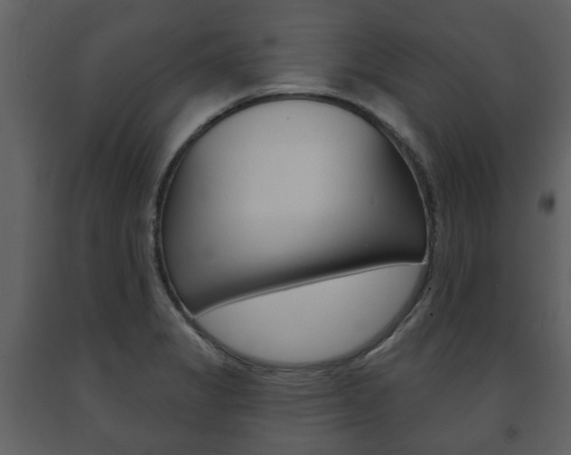 X0000091701325200708240924