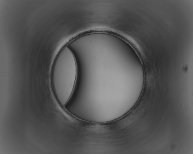 X0000091701327200708240924