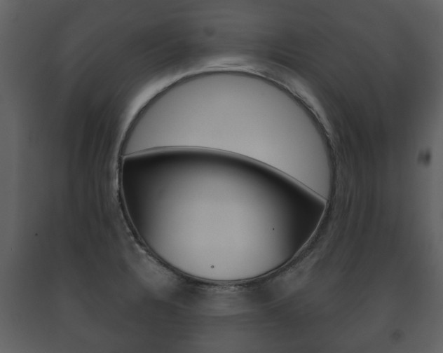 X0000091701328200708240924