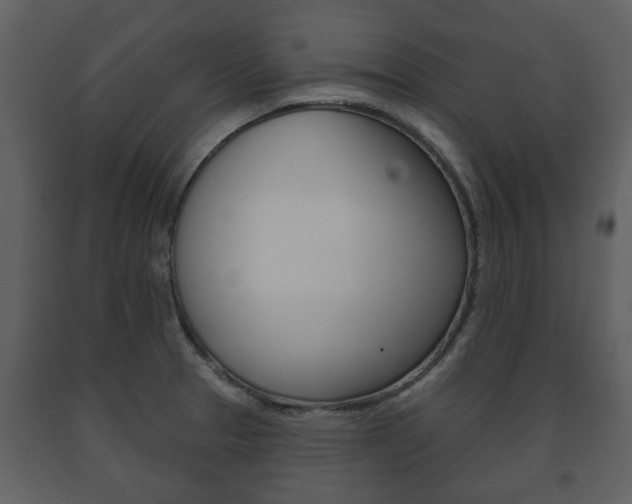 X0000091701329200708240924