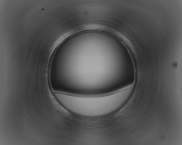 X0000091701330200708240924