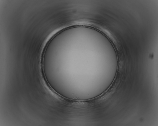 X0000091701331200708240924