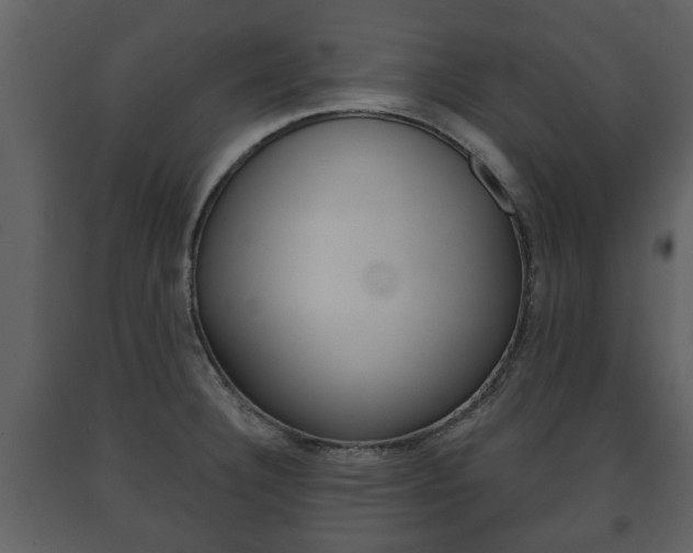 X0000091701332200708240924