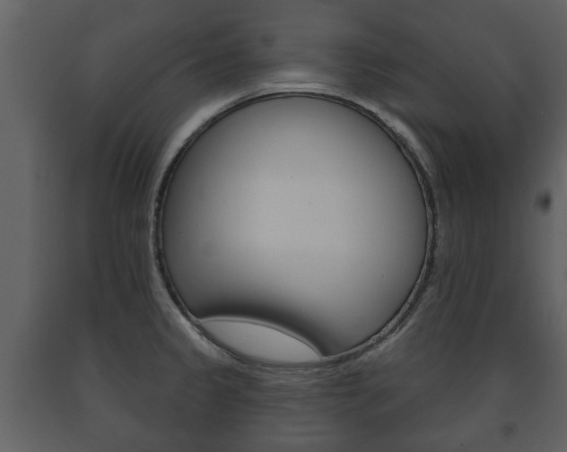 X0000091701333200708240924