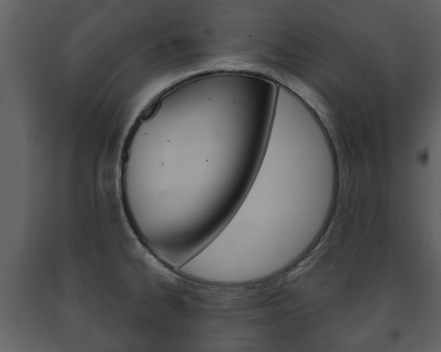 X0000091701334200708240924