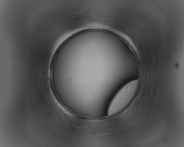 X0000091701335200708240924