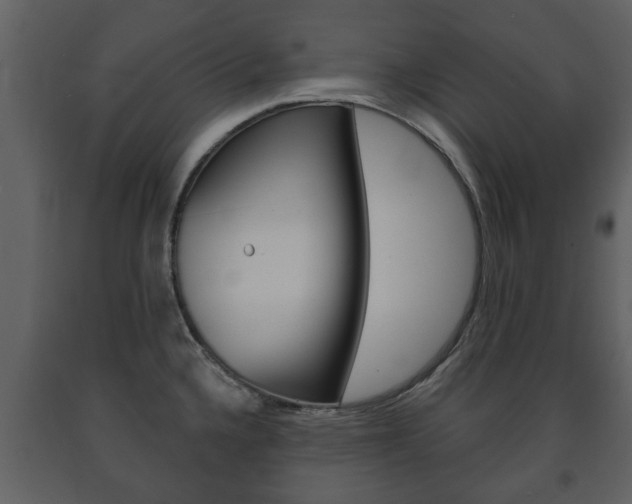 X0000091701336200708240924