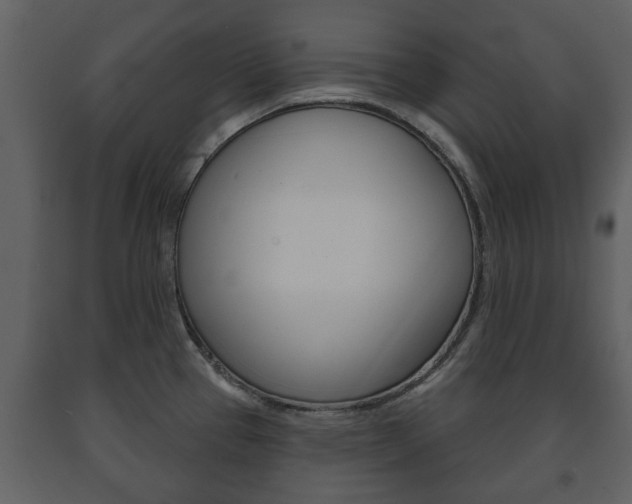 X0000091701337200708240924