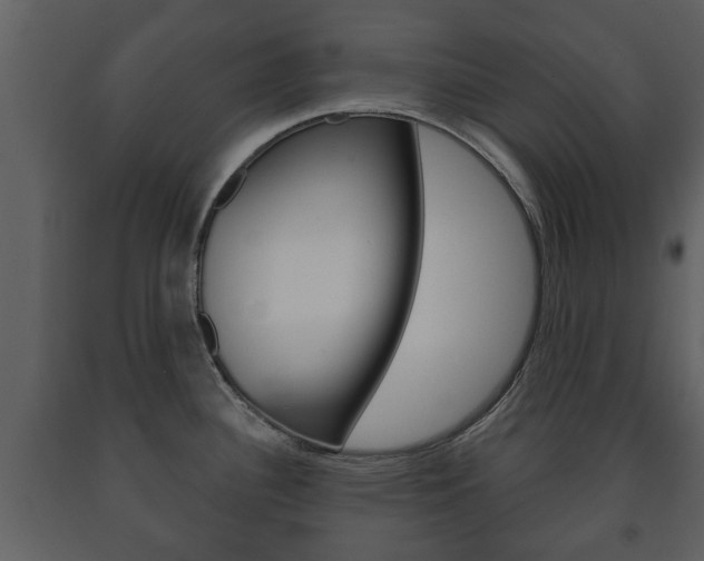 X0000091701340200708240924