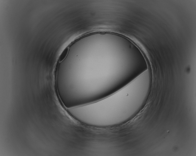 X0000091701341200708240924