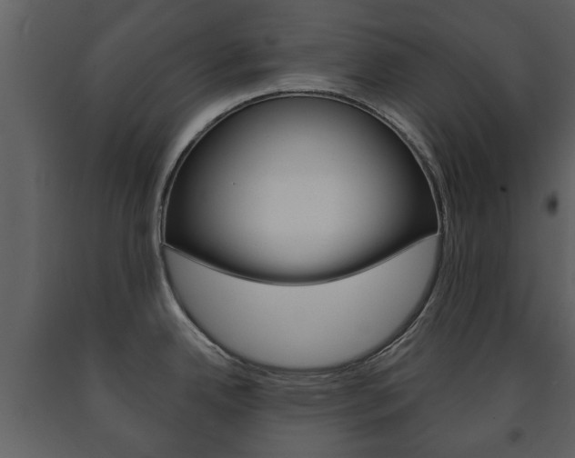 X0000091701342200708240924