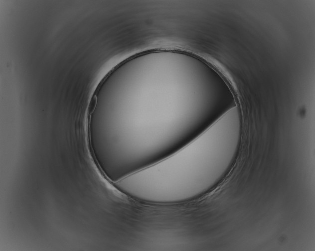 X0000091701343200708240924