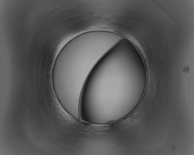 X0000091701344200708240924