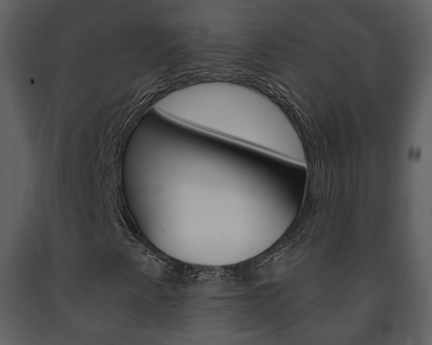 X0000091701345200708240924