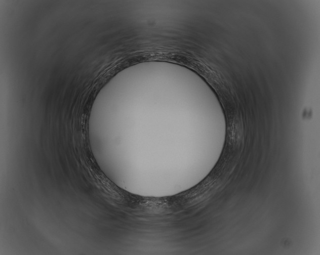 X0000091701346200708240924