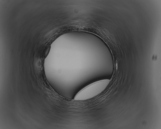 X0000091701347200708240924