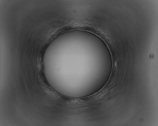X0000091701348200708240924