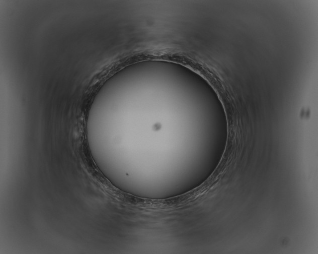 X0000091701349200708240924