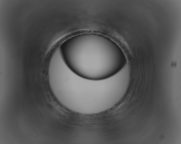 X0000091701352200708240924
