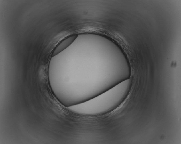 X0000091701353200708240924