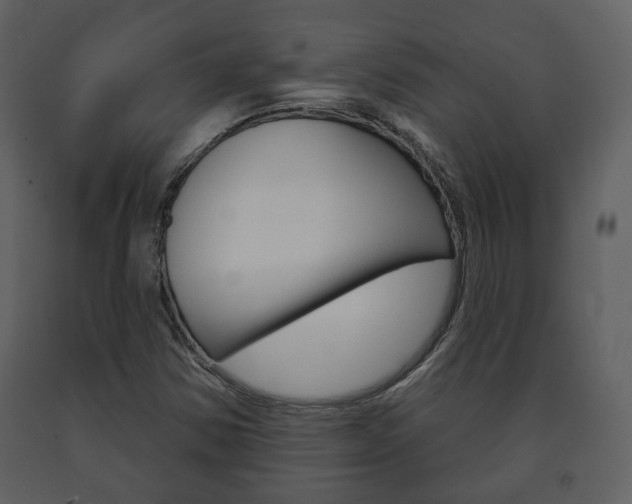 X0000091701354200708240924