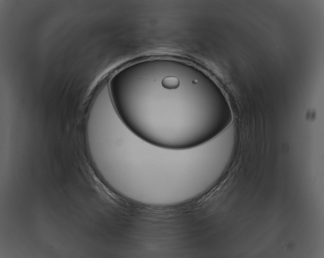 X0000091701356200708240923