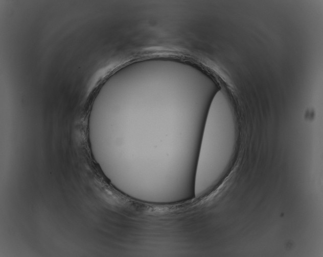 X0000091701357200708240923