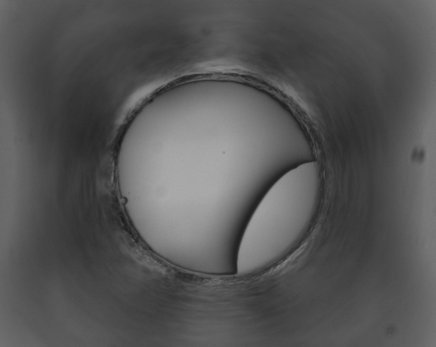 X0000091701358200708240923
