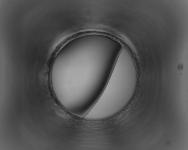 X0000091701360200708240923