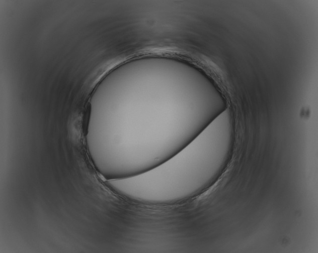 X0000091701361200708240923