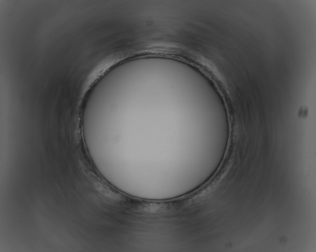 X0000091701362200708240923