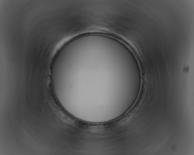 X0000091701363200708240923