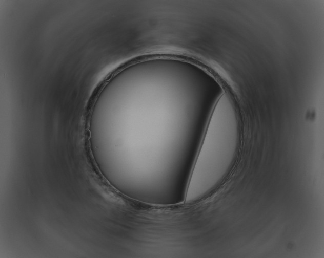 X0000091701364200708240923