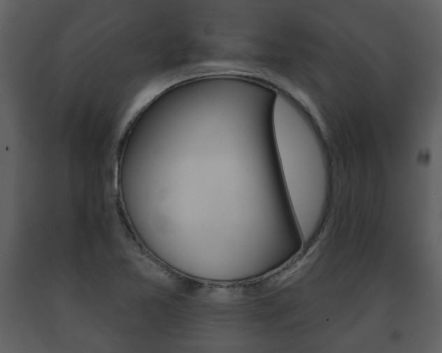 X0000091701365200708240923