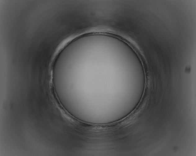X0000091701366200708240923