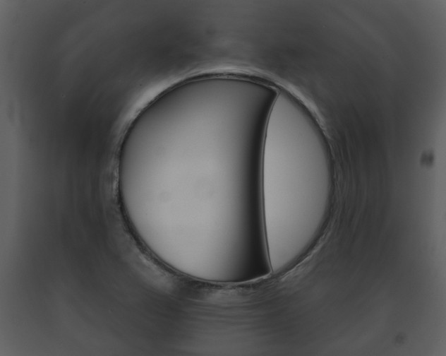 X0000091701367200708240923