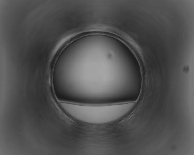 X0000091701368200708240923