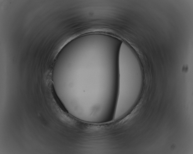 X0000091701369200708240923