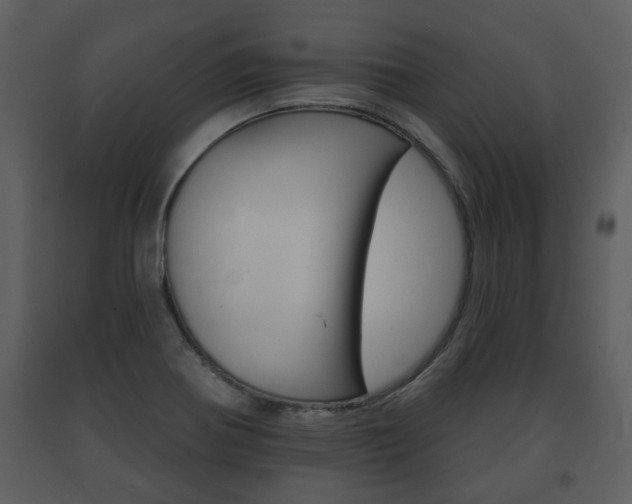 X0000091701370200708240923