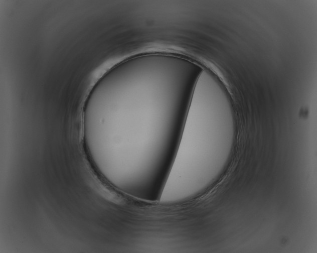 X0000091701371200708240923