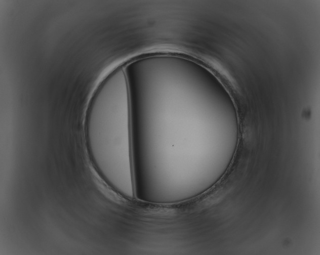 X0000091701372200708240923