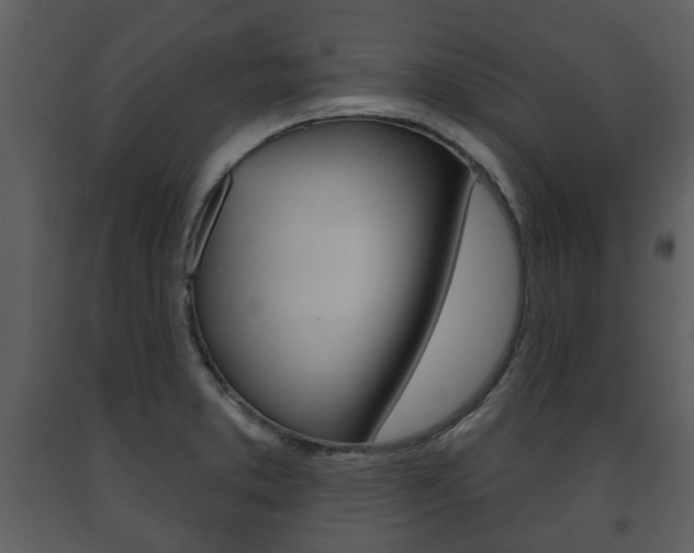 X0000091701373200708240923