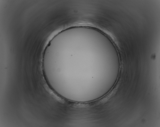 X0000091701374200708240923